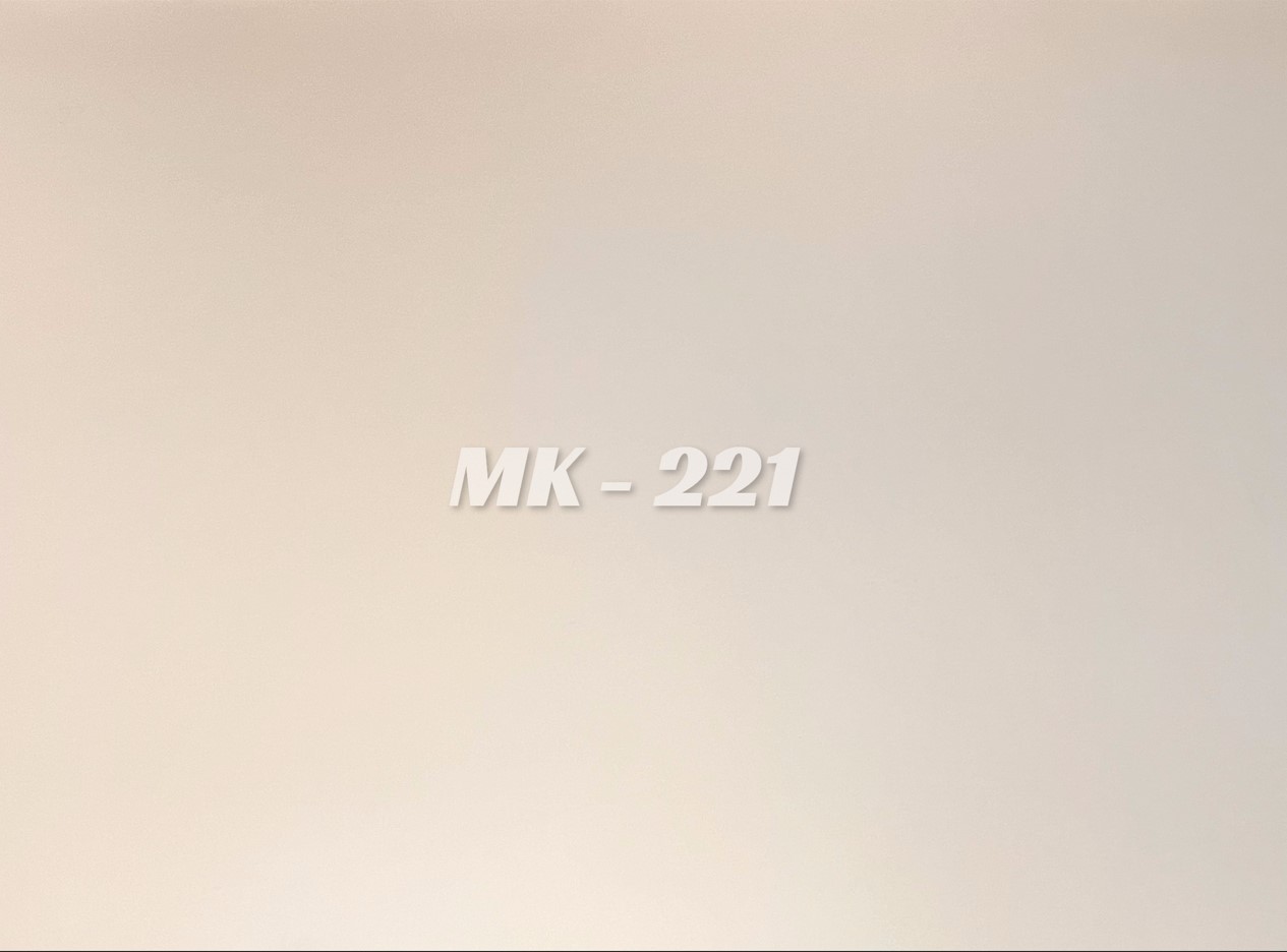 Ván Plywood 5mm phủ 2 mặt melamine mã 221T